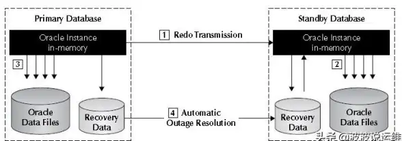 Oracle恢复 数据库归档：利用Oracle归档日志实现数据库高效恢复方法