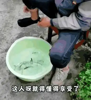 网络故障💡wifi连上却不能上网怎么办？小鱼教您轻松解决