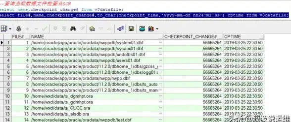 SQL文件|数据库管理 SQL数据库文件下载方法及打开步骤详解，如何获取和使用sql数据库文件