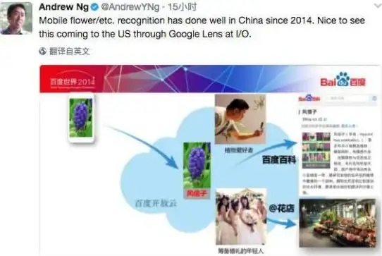 图像搜索📷谷歌识图日常高效用法：提升生活效率的实用技巧