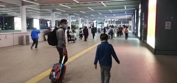 日志优化|数据库管理 如何提升C语言数据库日志记录效率与功能