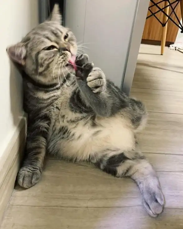 宠物健康⚠游戏攻略🔥怪物猎人荒野猫咪生病机制深度揭秘及高效预防技巧