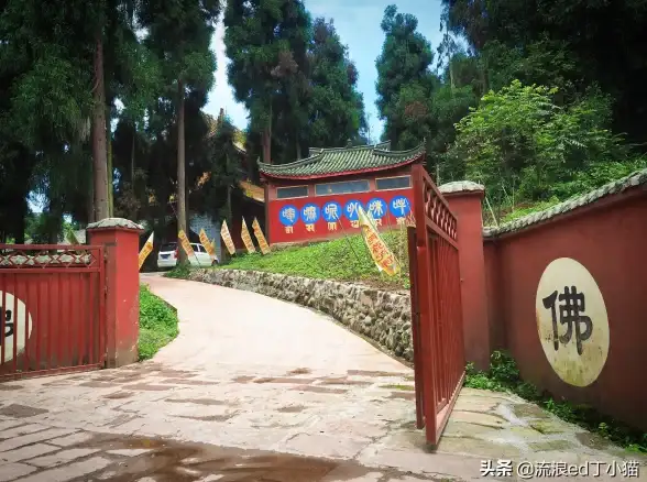 宠物捕捉｜最佳时机｜顶级装备速报！遗迹旅人》捕宠全攻略揭秘