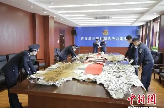 实用干货｜职场邮件高手宝典！大附件安全发送—162邮箱最新功能解读【技巧提升】