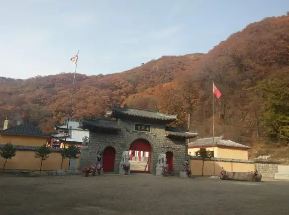 空间管理✨内容整理｜qq空间说说怎么全部删除，小鱼教你高效管理个人内容