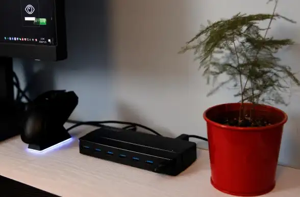数据恢复📁不小心删除重要文件？小鱼教你轻松找回电脑丢失数据