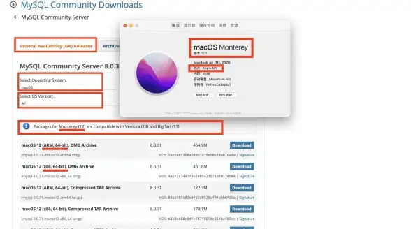 MySQL Ubuntu Ubuntu系统下快速安装MySQL数据库的高效方法