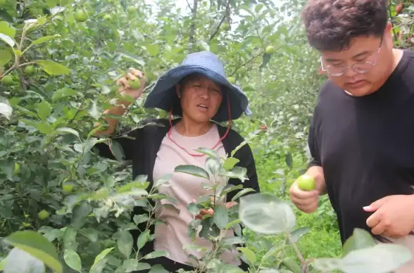 电脑加速🚀青苹果系统优化全攻略：五大技巧助你轻松提升电脑性能