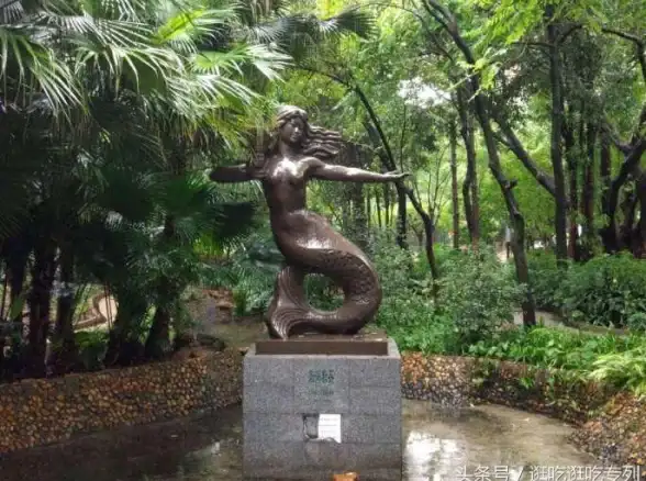 卧虎藏龙2刷活力高效攻略