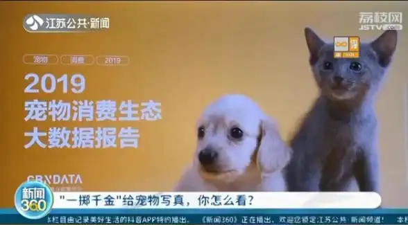正版躲猫猫手游推荐2024耐玩排行榜大全