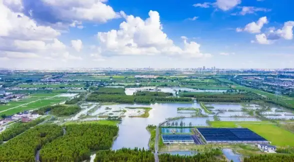 云服务用户格局变动｜深度盘点：2024各平台人数差异解读【云计算观察】
