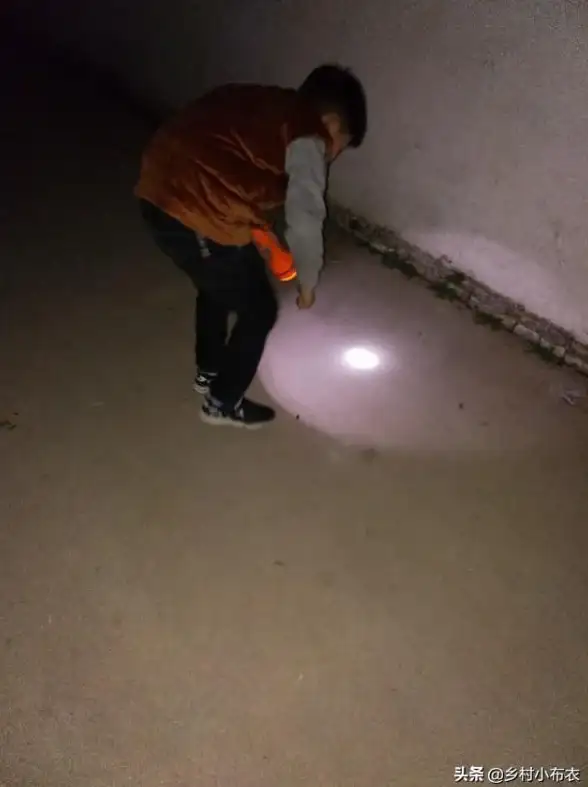 实用指南丨夜趣APP正版安全下载技巧！热门应用推荐】