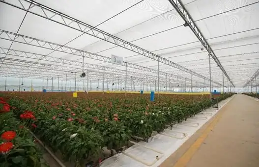 CDN应用,教育信息化-定安教育网专项CDN节点应用探索