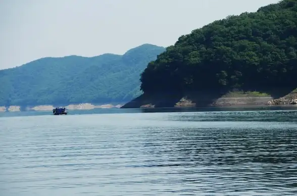 江湖悠悠🔥春节盛宴 激情团聚 新春筵席美味共享指南