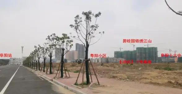 视角：权威解读｜风险预警！主机免备案法律隐患与防范全攻略—云计算必读