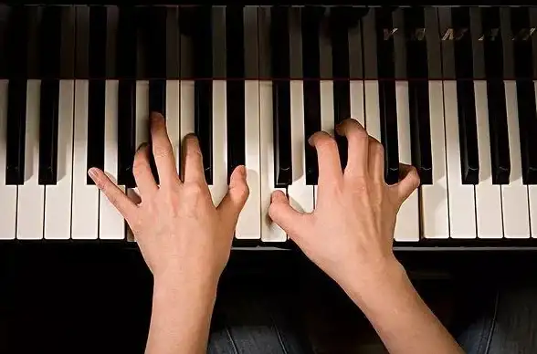 🎹钢琴手游🎶钢琴游戏大全：汇聚人气钢琴手游，感受指尖跳动的美妙音符