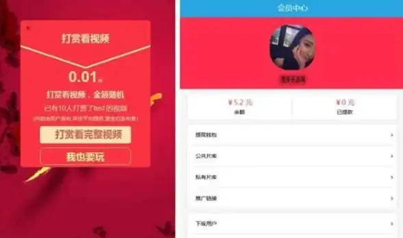 【电商必看】高效集成网站源码支付提醒，轻松提升收款效率！优化收款