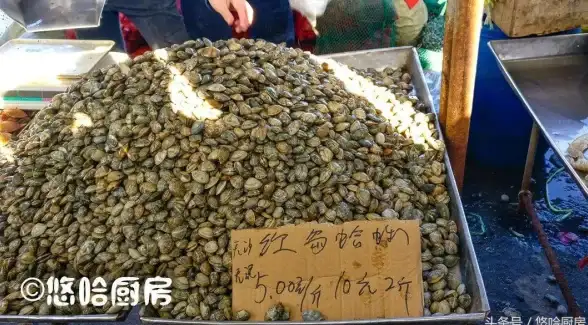攻略指南🔥和平精英游戏步伐绕障碍螃蟹步技巧详解与实用技巧