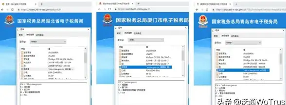云服务器,租用指南-湖北云服务器租用流程全解析