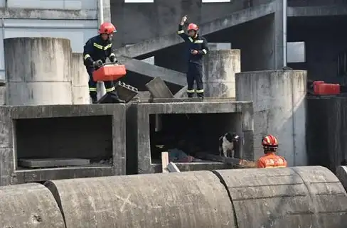 服务器安全,本地技术支持-滴盾安全联通服务器，山东本地化支持