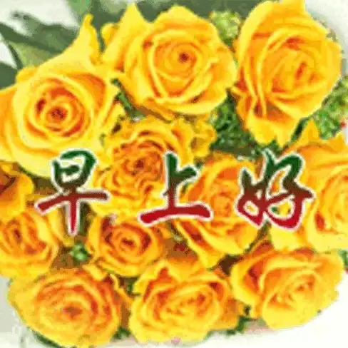 热门攻略◆梦境揭秘◆限时爆料 无限暖暖愿望梦境仓库独家开启技巧全解析！