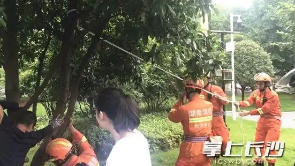 系统优化🚀win11安装检测卡住别担心，这些有效技巧帮你快速解决