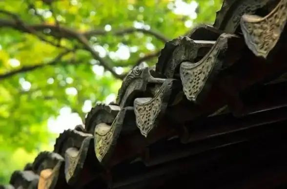 音频故障🎵视频无声原因解析：小鱼为您详细讲解常见问题