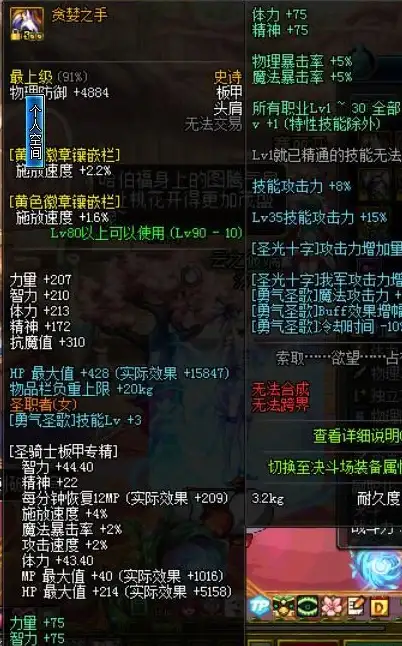 ✦攻略秘籍✦顶级玩法✦女圣骑士必备 DNF手游实用装备搭配与技能配合技巧解析