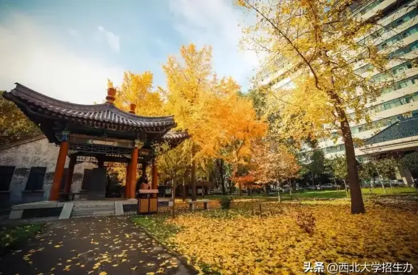 ✈航管揭秘✈角色解密✈惊异序列探秘《晴空之下》航线管制真相大曝光！