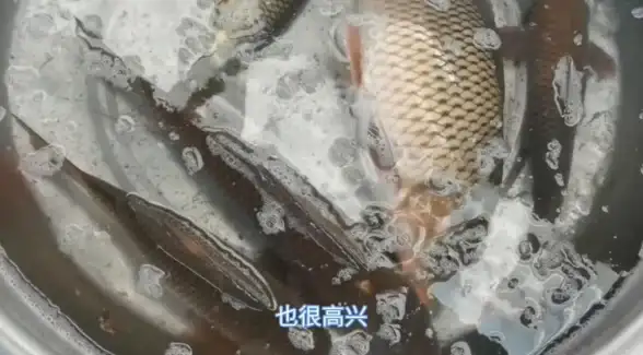网络故障📱遇到手机网络连接不可用问题？小鱼教你快速恢复上网