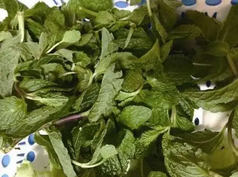 热门爆款♦超详细攻略♦实测分享 揭秘《荒野起源》测试机型最佳体验设置推荐