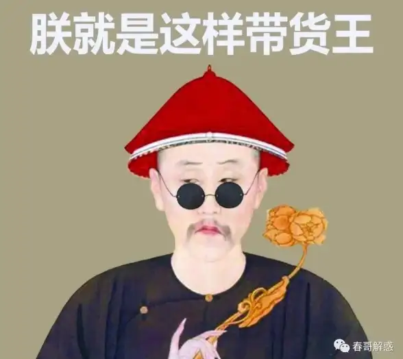 电商聚焦🛒深度剖析pdd：含义解析与运营机制全揭秘