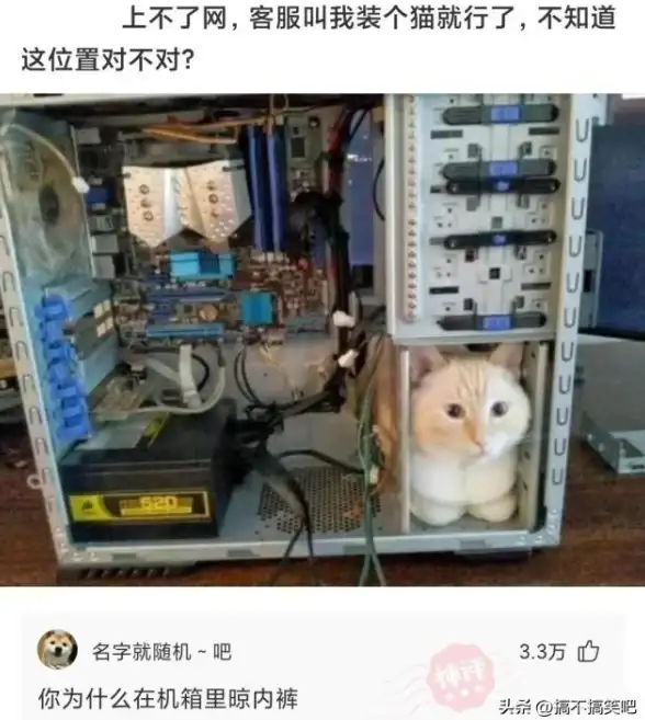 相亲攻略💖恋爱秘籍丨中国式相亲女主最受欢迎礼物榜全面解析