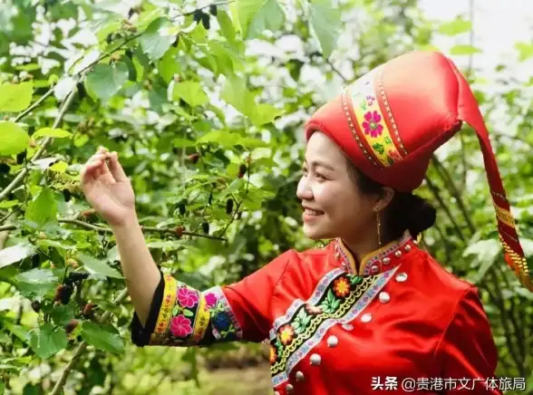 云端硬盘必备指南┃高效利用云服务器BT下载┃云计算实用技巧全解析⚡