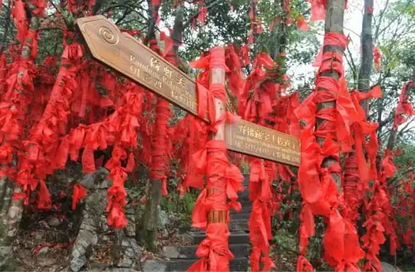 攻略宝典 民俗揭秘 隐藏谜题 无限暖暖祈愿树林民俗深度解析，隐藏秘密全揭晓！