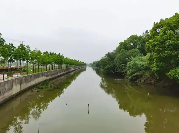 网络优化📱苹果手机上网速度慢的原因及解决方法，小鱼为你详细解析