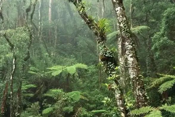 游戏攻略🔥DNF瞎子觉醒翅膀获取方法详解教程