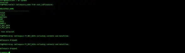 Oracle数据库 数据库架构 大型Oracle数据库设计方法与要点