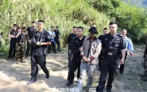 攻略秘籍🔥流浪日记2深山挑战全解析，新手必看详细指南