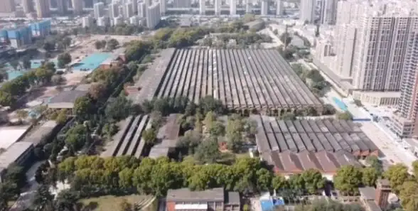 洞察｜云时代性能护航★抖音服务器升级深度解读—云计算安全合规新趋势