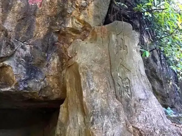 战术解析◆星坠专属◆技能宝典 交错战线》星坠技能搭配与实战攻略揭秘！