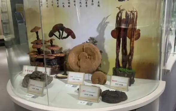 云计算,高可用-新乡棉花云服务器支持多运营商高可用