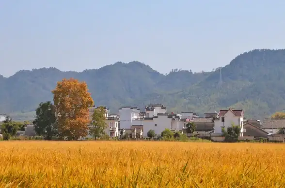 自然美景◆人文传奇◆文化探索 独特奇山揭秘，领略天下第一奇山的绝美与传承