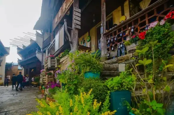 爆款秘籍⚡萌新必看⚡极致提升｜小花仙手游绽放全攻略，轻松变强！
