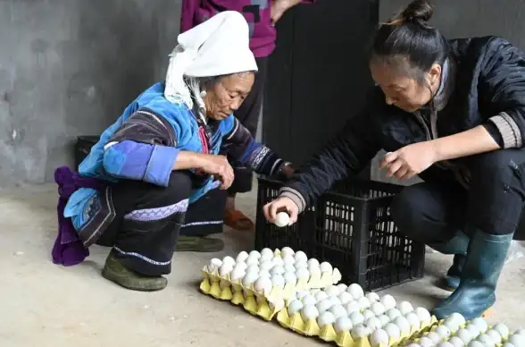 科技创新｜红米手机：高性能与实惠兼备，智能体验焕新升级