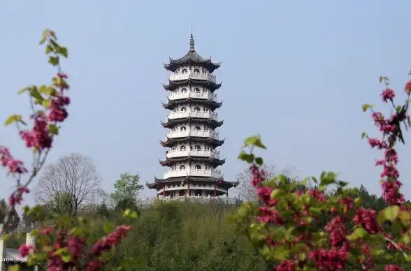 美丽爆款✨限定揭秘✨获取必看｜无限暖暖》留于花间池全攻略！