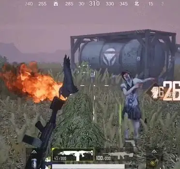 手游下载🎮和平精英国际服手机端下载与安装详细操作指南
