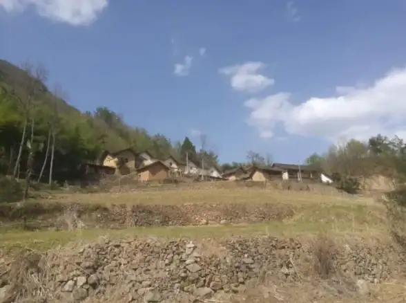 《桃源记2》木板采集技巧与最佳地点推荐
