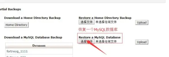 MSSQL上传 数据文件传输方式：实现MSSQL数据文件高效快捷上传的方法