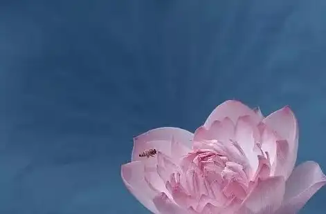 任务揭秘●必看●深度解析《魔兽世界》纵使深埋也非忘却全攻略！